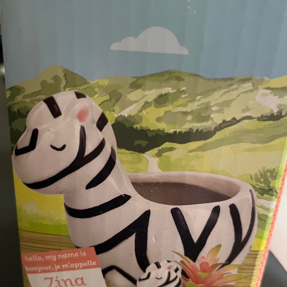 Zebra planter
